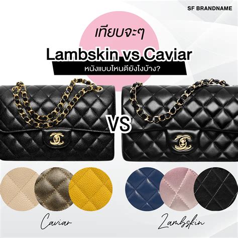 chanel leathers vs lambskin.